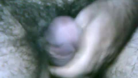 Snapshot of fer_2197 chatting on 01/27/25, 09:55 fer_2197 online show from 01/27/25, 09:55