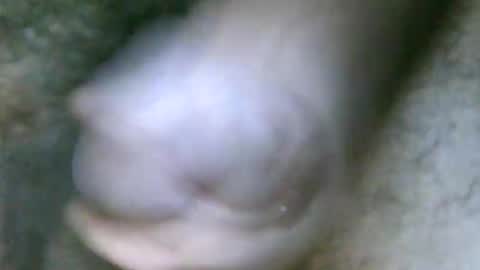 Snapshot of fer_2197 chatting on 10/31/25, 01:45 fer_2197 online show from 10/31/25, 01:45