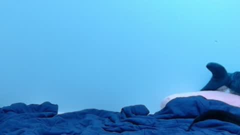 Snapshot of feralasf chatting on 02/28/25, 02:09 FE fee online show from 02/28/25, 02:09