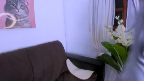 Snapshot of fernanda_brown01 chatting on 11/08/25, 08:29 Fernanda online show from 11/08/25, 08:29