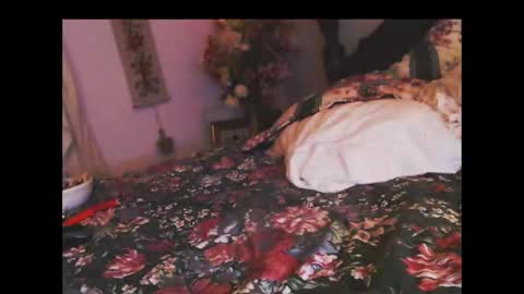 Snapshot of ferra_testarossa chatting on 11/05/25, 03:17 ferra_testarossa online show from 11/05/25, 03:17