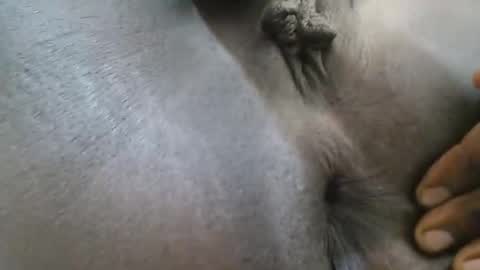 Snapshot of ferriena chatting on 09/27/25, 04:06 Ferie online show from 09/27/25, 04:06