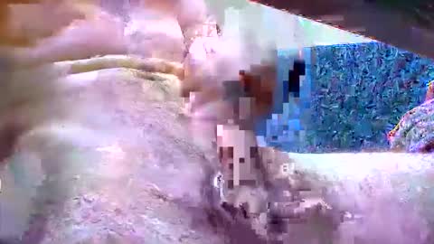 fetish_bigballs online show from 11/05/25, 08:25