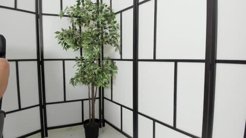 fetish_life online show from 01/11/25, 05:51