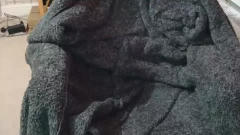 ffys2025 online show from 02/13/26, 09:22