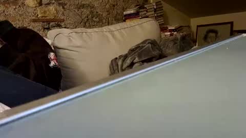 Fid online show from 01/28/25, 10:23