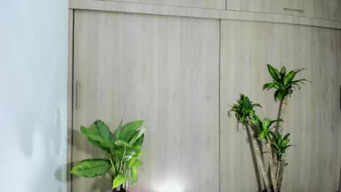 Snapshot of filletatouee chatting on 11/10/25, 04:44 filletatouee online show from 11/10/25, 04:44