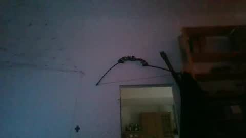 fine_nice online show from 01/27/25, 09:55