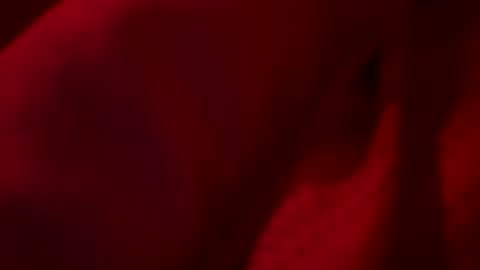 FirstTimeFeak online show from 05/23/26, 07:46