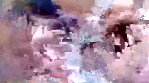 fishon13 online show from 04/19/26, 01:38