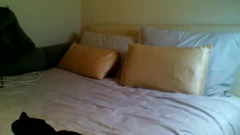 Fitbut online show from 09/15/25, 07:03