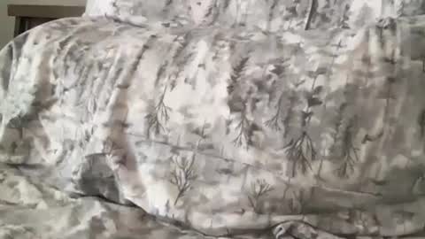 FitCollegeStudxx online show from 02/17/25, 07:21