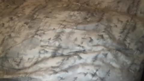 FitCollegeStudxx online show from 02/25/25, 03:42