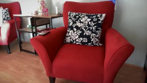 Snapshot of fitlance chatting on 12/06/24, 05:55 Lance Remington online show from 12/06/24, 05:55