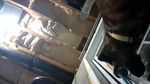 Nate online show from 09/25/25, 02:15