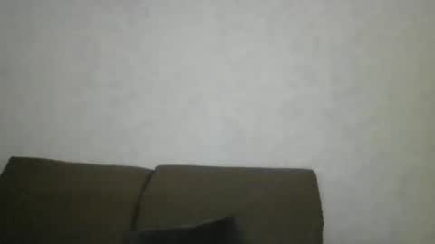 flamingo797424 online show from 01/25/25, 02:15