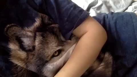 floraexploration online show from 12/22/24, 11:22