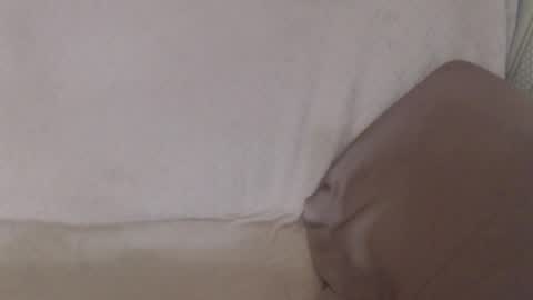 say meow and send tip  online show from 07/12/26, 12:18