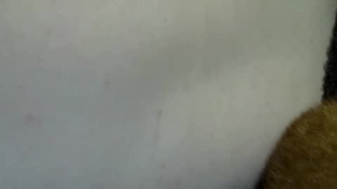 flufferbutt2 online show from 04/04/26, 10:24