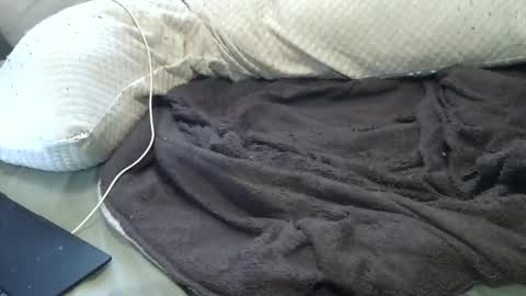 flufferbutt2 online show from 04/11/26, 12:48