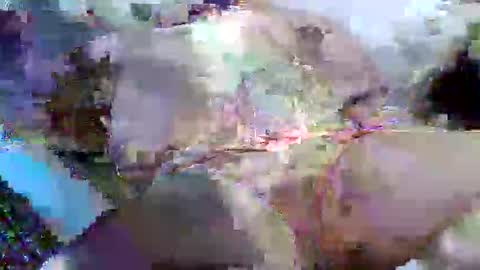 flufferbutt2 online show from 04/14/26, 05:13