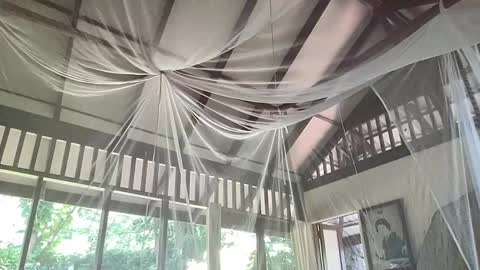 fluffy_bunnyxxx online show from 02/06/25, 05:35