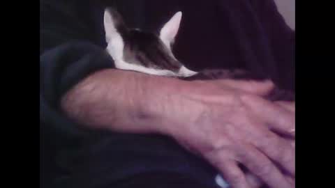 Hooz2no online show from 10/12/25, 12:53