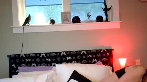 forbiddenwifey online show from 04/08/26, 02:33