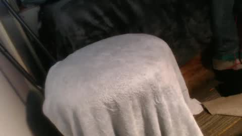 forestnymphpdx online show from 12/20/24, 10:16