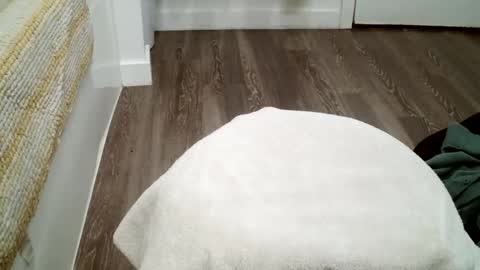 forestnymphpdx online show from 10/19/25, 12:11