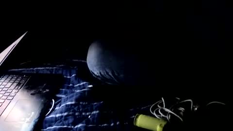 forestnymphpdx online show from 10/22/25, 02:01