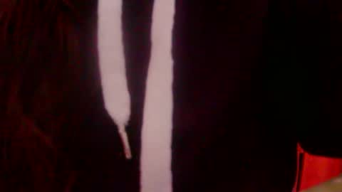 Snapshot of foxxxx_33 chatting on 12/16/25, 04:34 foxxxx_33 online show from 12/16/25, 04:34