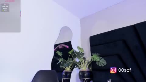 Snapshot of foxy_katt chatting on 02/21/26, 01:01 Katt Schedule 700a.m - 200p.m Col hour online show from 02/21/26, 01:01