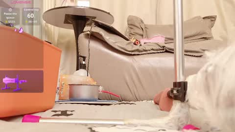 yiyi online show from 04/14/26, 07:58