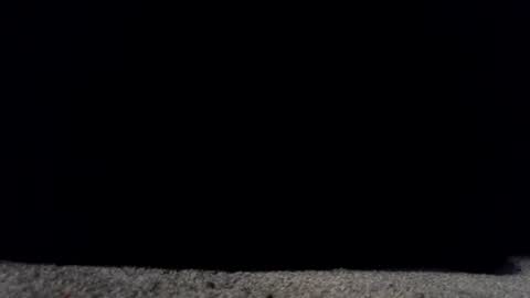 francescafey online show from 03/17/26, 06:50