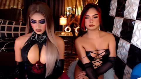 Stella Perkins online show from 04/10/26, 10:03