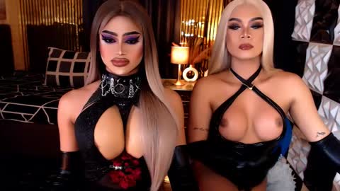 Stella Perkins online show from 04/12/26, 09:14