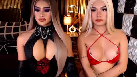 Stella Perkins online show from 04/12/26, 09:20