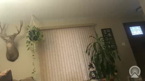 Frank online show from 01/06/26, 01:15