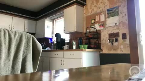 Frank online show from 04/08/26, 12:38