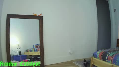 Snapshot of frankiecatalyst chatting on 07/20/26, 01:35 Frankie Catalyst online show from 07/20/26, 01:35