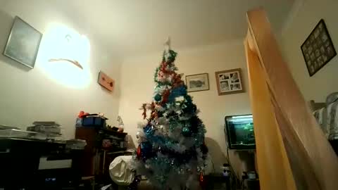 Keith online show from 12/05/24, 07:49