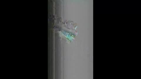 fredy621268 online show from 04/18/26, 10:19