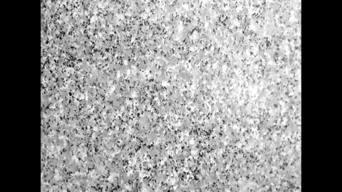 freiman_bigcockxx online show from 04/10/26, 06:56