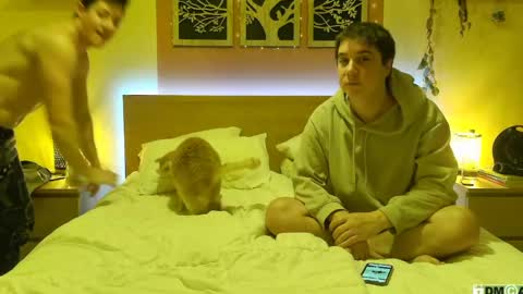 Snapshot of frenchhornybibs chatting on 01/26/25, 08:02 French Horny Bibs online show from 01/26/25, 08:02