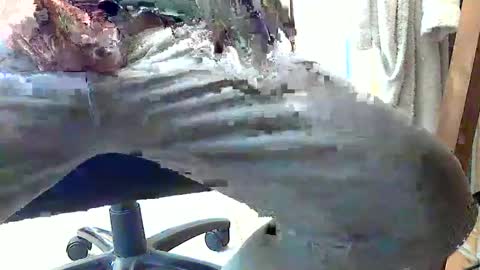 frenchpapalover online show from 02/28/25, 01:14