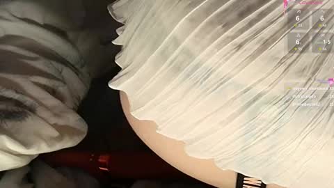 Snapshot of frenulumsnap chatting on 02/22/25, 06:08 Meadow online show from 02/22/25, 06:08