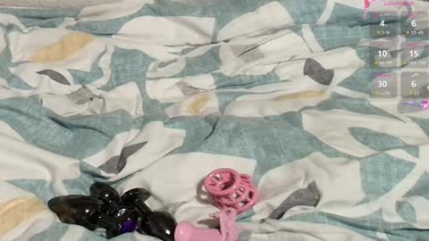 Snapshot of frenulumsnap chatting on 02/27/25, 10:26 Meadow online show from 02/27/25, 10:26