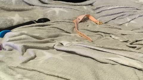 Snapshot of frenulumsnap chatting on 09/09/25, 11:26 Meadow online show from 09/09/25, 11:26