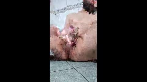 friendshipplus online show from 02/25/26, 07:40